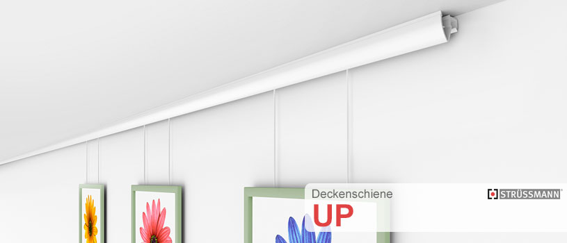 deckenschiene up